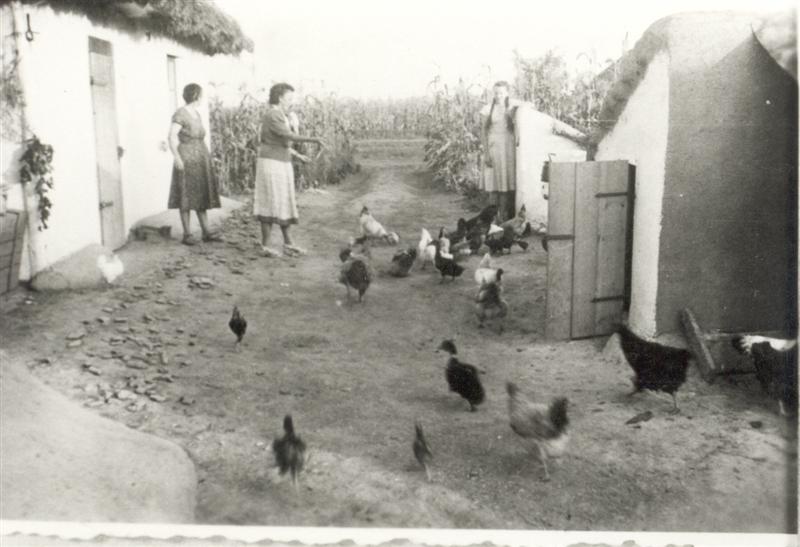 Fam_Bauer_Michel_Grabatz