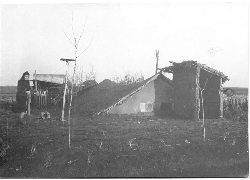 Neubeschenowaer im Baragan