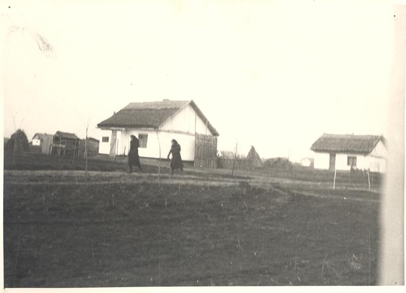 Neubeschenowaer im Baragan2