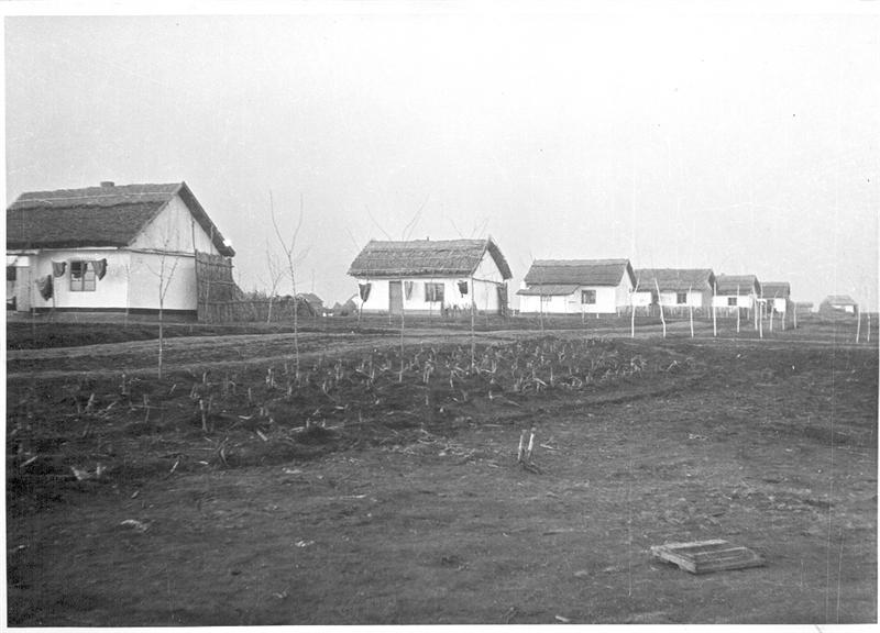Neubeschenowaer im Baragan3