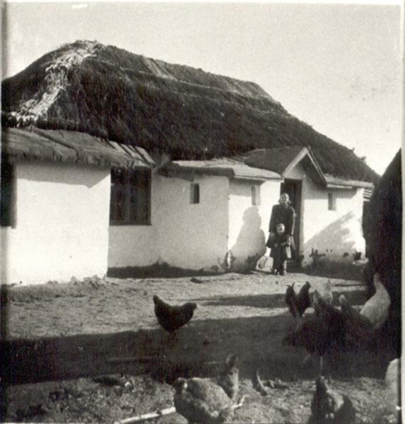 Warjascher im Baragan