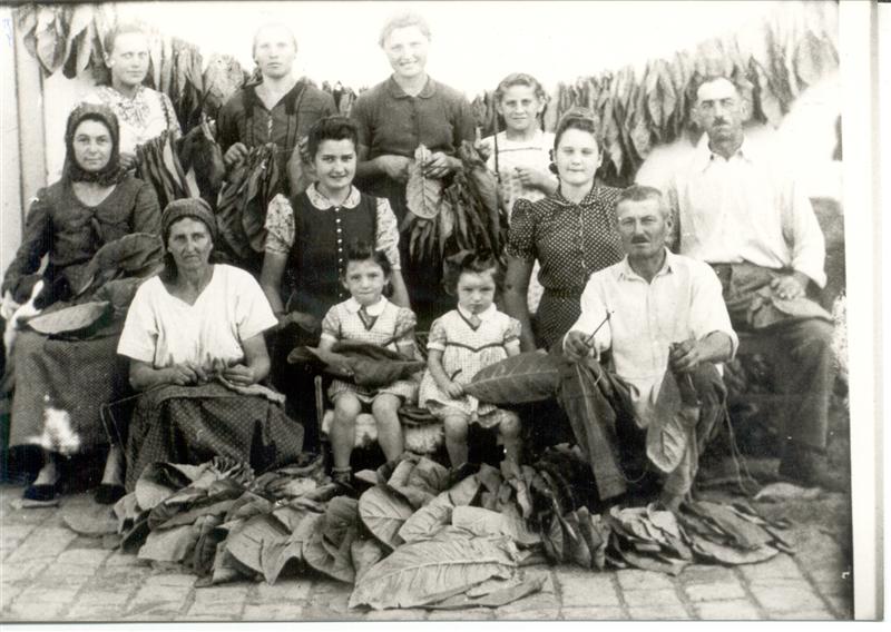 Grabatz Tabakeinfaedeln 1936