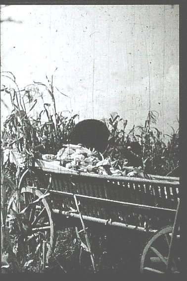 Hatzfeld Aufladen Mais