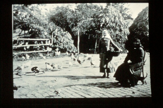 Hatzfeld Huehnerfuettern