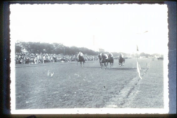 Hatzfeld Pferderennen