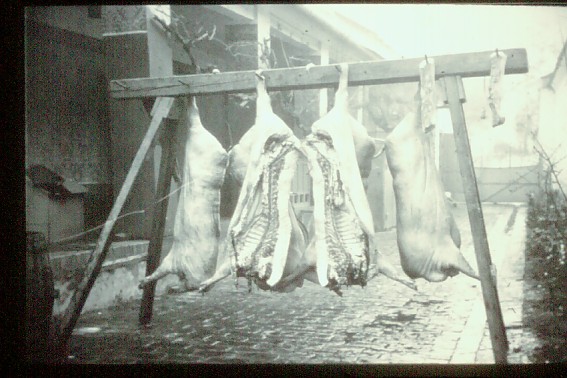 Hatzfeld Schlacht