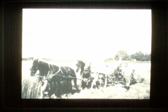 Hatzfeld Weizenernte