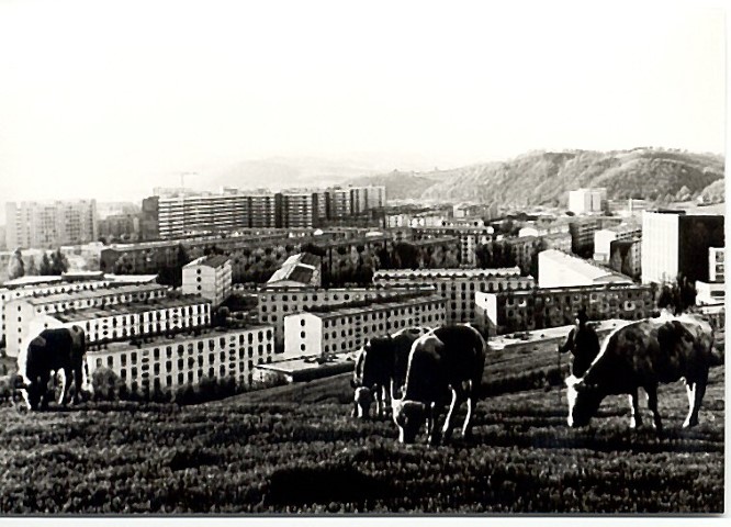 Reschitz3