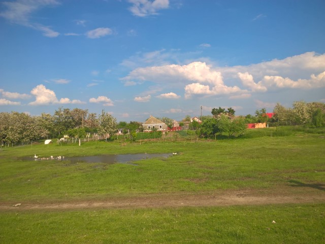 Dama -Dietlinde Huhn -Banat Fruehling 2017 (23)